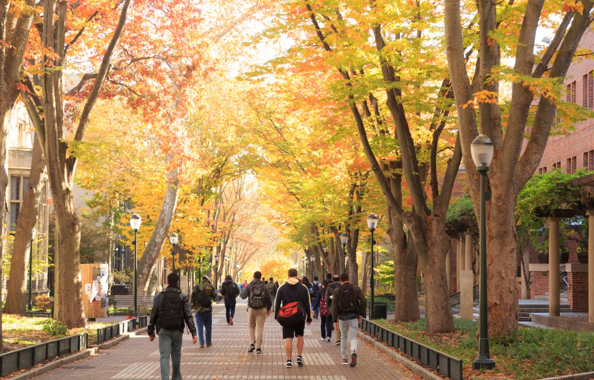 Locust Walk with students in fall, University of Pennsylvania, University City area, Philadelphia, PA, USA