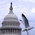 US Senate passes bill to avert shutdown, House Democrats turn on Schumer