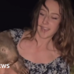 US influencer who snatched baby wombat has left Australia