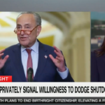 AOC slams Schumer for caving to GOP, Musk by voting for spending bill