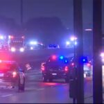 17-vehicle crash in Austin, Texas leaves 5 dead, including children