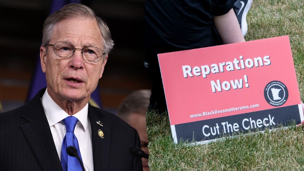 Lawmaker moves to defund DC, other cities spending taxpayer cash on reparations schemes