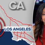 LA-based FOX correspondent live on air as 4.1 magnitude earthquake hits