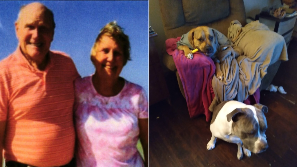 Ohio grandmother's family files lawsuit after fatal pit bull attack