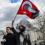 Erdogan condemns Turkey protests as dozens arrested