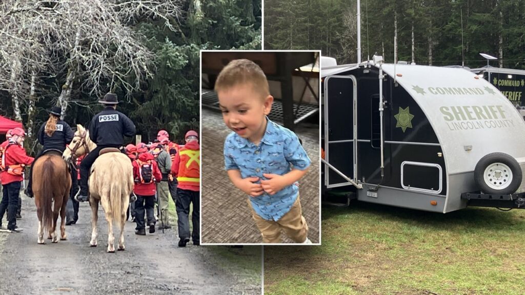 Dane Paulsen, 2, vanishes from family's front yard, prompting massive search