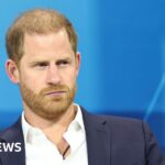 Prince Harry's US visa records must be released, judge rules