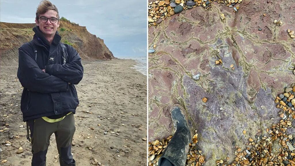 Massive 100-million-year-old dinosaur footprint unearthed on England beach