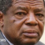 Zimbabwe, President Mnangagwa, Blessed Geza and the drama of succession