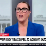 Commentator on CNN says 'Democrats are a mess'