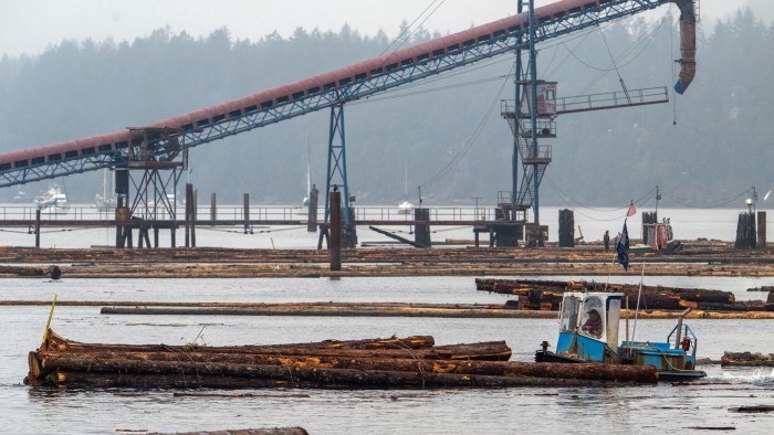 Trump orders probe into alleged dumping of lumber in US market