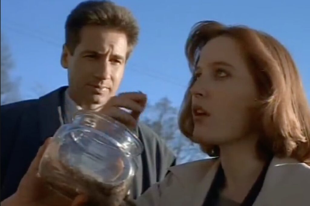 Scully eats a bug (sort of).