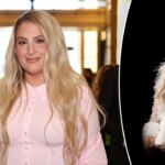 Meghan Trainor critics question if Ozempic is to blame for singer's weight loss