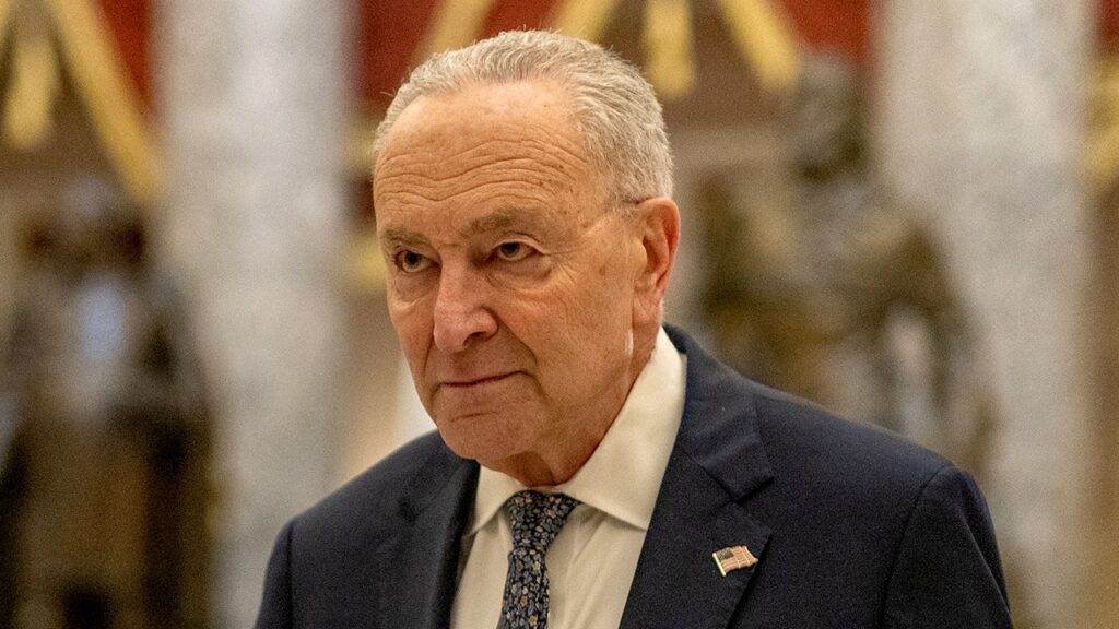 Schumer events called off due to 'security concerns' week of book launch