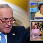 Liberal media commentators, Democrats pile on Chuck Schumer for siding with GOP