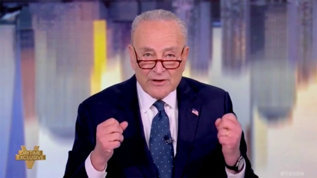 Schumer tells 'The View' he's not stepping down amid spending bill backlash