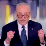 Schumer tells 'The View' he's not stepping down amid spending bill backlash