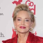 Sharon Stone Was 'Unexpectedly' Cut From A Simple Favor 2, Actress Says