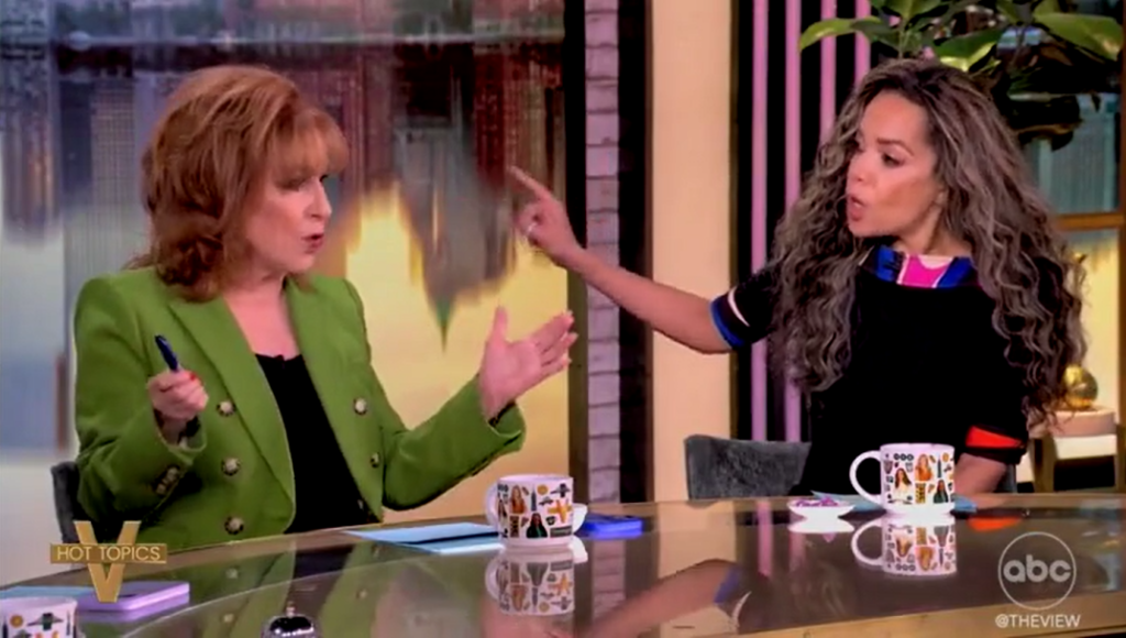 'The View' hosts feud over Democratic infighting after Schumer worked with GOP