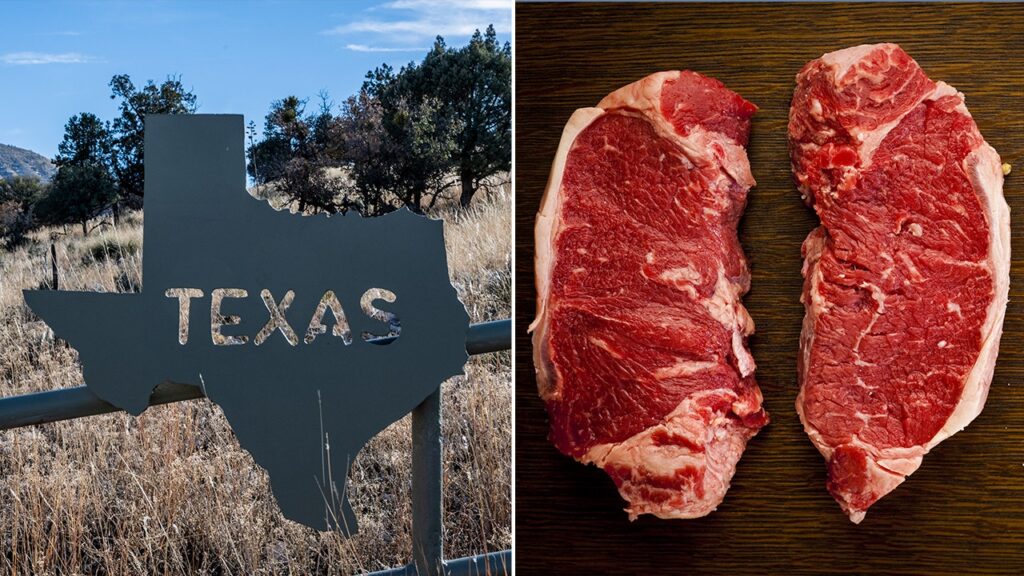 New York strip should be renamed Texas strip, Lt. Gov. Dan Patrick says