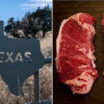 New York strip should be renamed Texas strip, Lt. Gov. Dan Patrick says