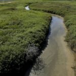 Mexico is poisoning Southern California with 100 billion gallons of sewage