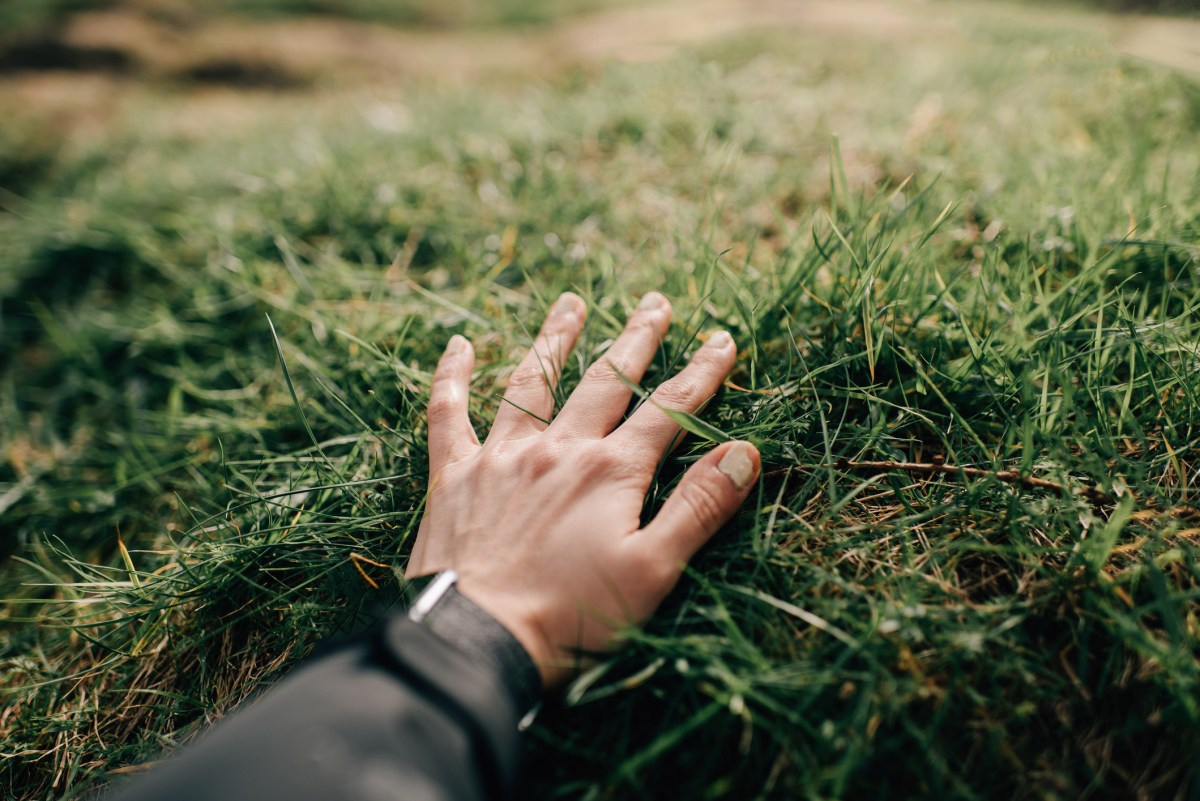 This app limits your screen time by making you literally touch grass