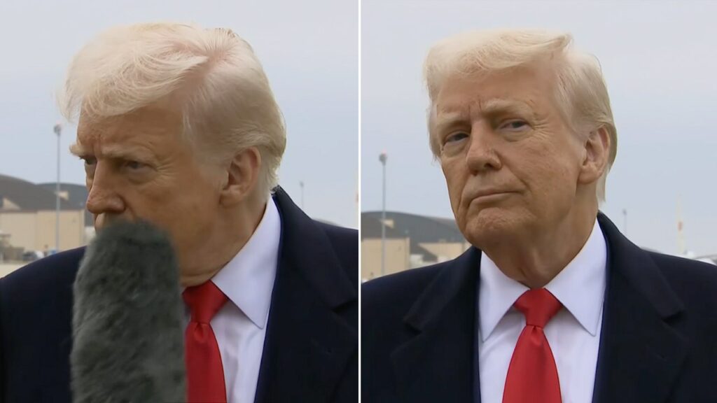 Boom mic bumps President Trump's face as he takes questions from press