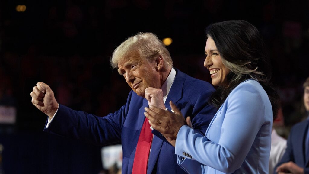 Tulsi Gabbard commends Trump over tense exchange with Zelenskyy