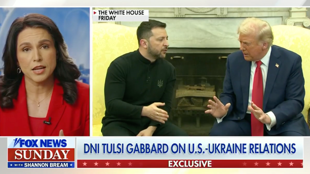 Tense Trump-Zelenskyy meeting exposes Europe’s ‘divergence’ from protecting freedom and peace: DNI Gabbard