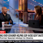 Van Jones remarks on 'volcanic anger' Dems have for Schumer over spending bill