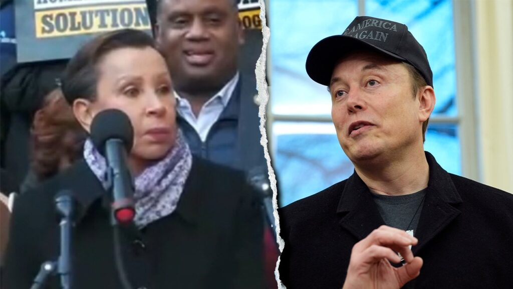 House Dem blasted for 'unhinged' Elon Musk rant: 'Go back to South Africa'