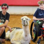 Guinness World Records declares new oldest llama, who works with chronically ill children in North Carolina